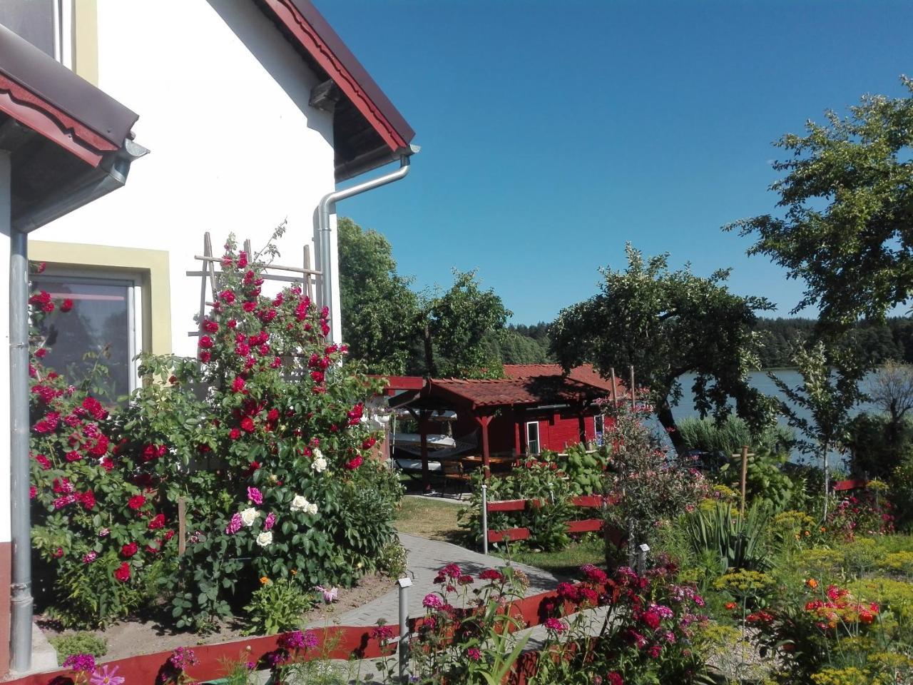 Agro-Tur Domki W Szuwarach Kuty Exterior photo
